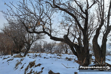 طبیعت برفی روستای زرجه بستان قزوین