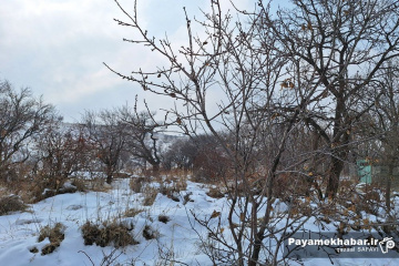 طبیعت برفی روستای زرجه بستان قزوین