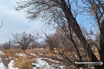 طبیعت برفی روستای زرجه بستان قزوین