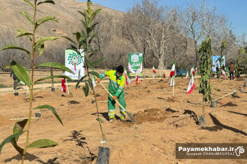 مراسم روز درختکاری‎