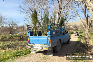 مراسم روز درختکاری‎