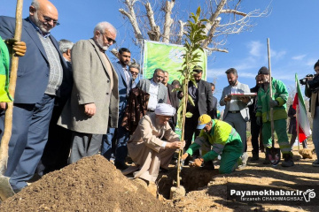 مراسم روز درختکاری‎