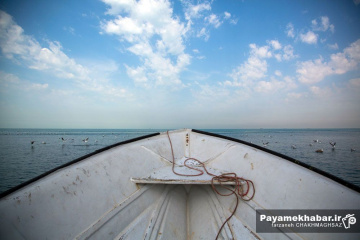 سواحل زیبای خلیج فارس در بوشهر