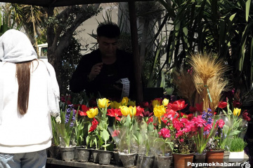 بازار داغ گل و گیاه قصرالدشت شیراز