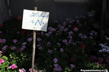 بازار داغ گل و گیاه قصرالدشت شیراز