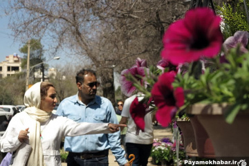 بازار داغ گل و گیاه قصرالدشت شیراز