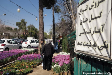 بازار داغ گل و گیاه قصرالدشت شیراز