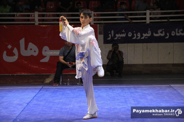 مسابقات ووشو انتخابی تیم ملی (سبک تالو)