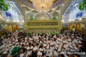 یتیمان کوفه و نجف اشرف در حرم مطهر علوی