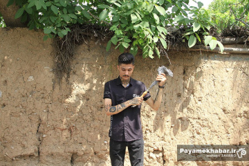 عزاداری روز عاشورای حسینی در محله قصردشت شیراز