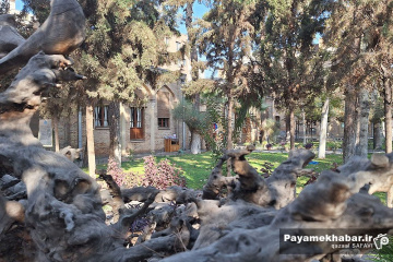 باغ نگارستان تهران