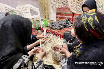 نمایشگاه حصیربافی در فارس