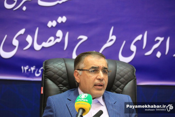 نشست خبری تشریح طرح اقتصادی دولت در استان فارس - مسعود گودرزی