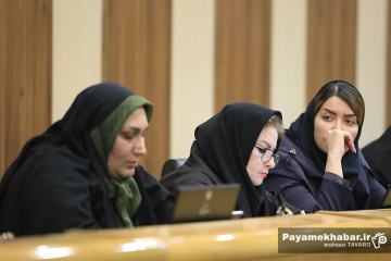 نشست خبری تشریح طرح اقتصادی دولت در استان فارس