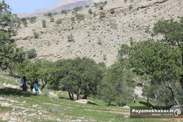 سیزده بدر - روز طبعیت