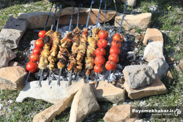 سیزده بدر - روز طبعیت - جوجه کباب