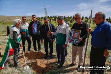 کاشت نهال توسط خادمیاران رضوی فارس در شیراز به نیت شهدای جنگ رمضان