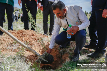 کاشت نهال توسط خادمیاران رضوی فارس در شیراز به نیت شهدای جنگ رمضان
