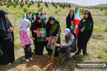 کاشت نهال توسط خادمیاران رضوی فارس در شیراز به نیت شهدای جنگ رمضان