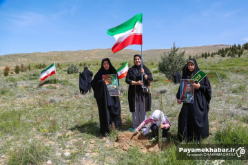 کاشت نهال توسط خادمیاران رضوی فارس در شیراز به نیت شهدای جنگ رمضان