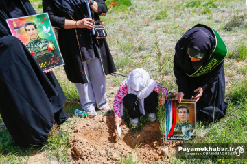 کاشت نهال توسط خادمیاران رضوی فارس در شیراز به نیت شهدای جنگ رمضان