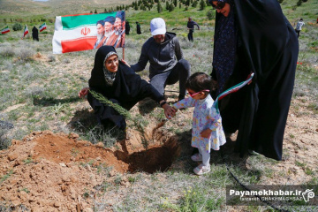 کاشت نهال توسط خادمیاران رضوی فارس در شیراز به نیت شهدای جنگ رمضان