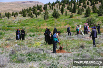کاشت نهال توسط خادمیاران رضوی فارس در شیراز به نیت شهدای جنگ رمضان
