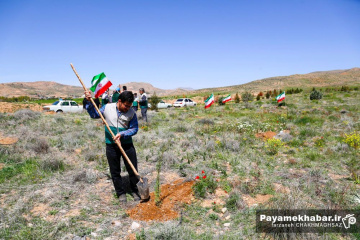 کاشت نهال توسط خادمیاران رضوی فارس در شیراز به نیت شهدای جنگ رمضان