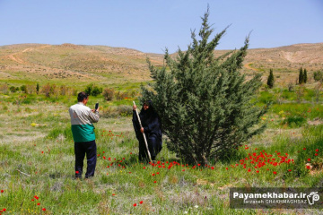 کاشت نهال توسط خادمیاران رضوی فارس در شیراز به نیت شهدای جنگ رمضان