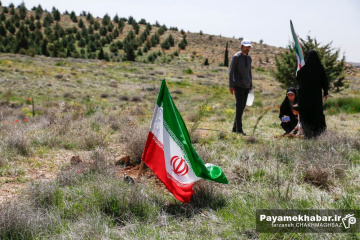کاشت نهال توسط خادمیاران رضوی فارس در شیراز به نیت شهدای جنگ رمضان
