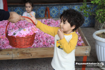 میمند فارس سرزمین گل محمدی و گلاب ایران