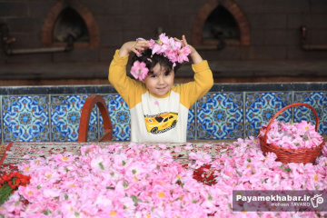 میمند فارس سرزمین گل محمدی و گلاب ایران