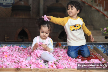 میمند فارس سرزمین گل محمدی و گلاب ایران