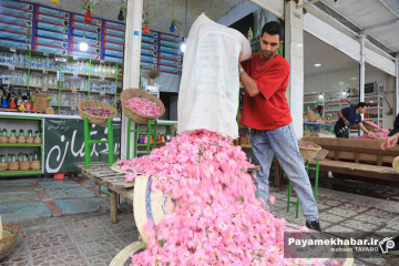 میمند فارس سرزمین گل محمدی و گلاب ایران
