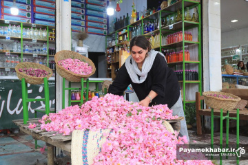 میمند فارس سرزمین گل محمدی و گلاب ایران
