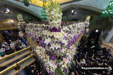 گل‌آرایی ضریح مطهر رضوی در ایام ولادت امام رضا (ع)