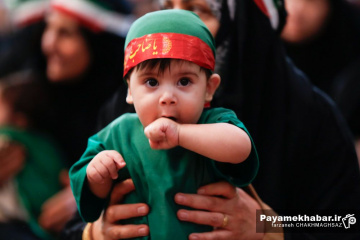 مراسم شیرخوارگان حسینی در شیراز