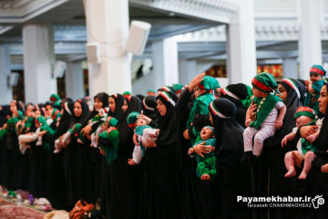 مراسم شیرخوارگان حسینی در شیراز
