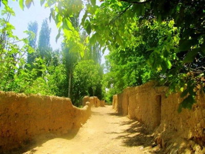 تهیه طرح جامع حفظ و نگهداری و توسعه باغات شیراز در دستور کار قرار گرفت