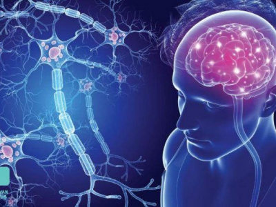 سلول ‌های سیستم عصبی مرکزی عامل ابتلا به اسکیزوفرنی هستند