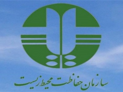 فیلم| تلاشی برای حفاظت از بزرگترین عقاب ایران