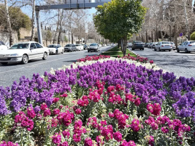 طراوت و زیبایی در آستانه فصل نو؛ گل‌کاری المان طاووس در منطقه سه شهرداری شیراز