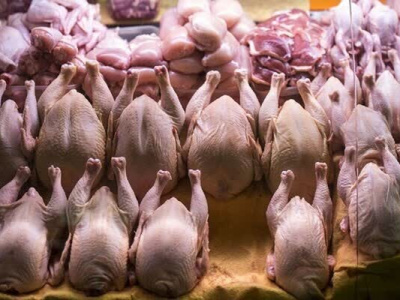 ذخیره‌سازی ۲۶۱۶ تن گوشت مرغ در فارس