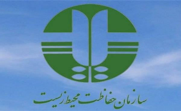 فیلم| تلاشی برای حفاظت از بزرگترین عقاب ایران