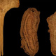 کشف کفش های بچه گانه ۶ هزار ساله
